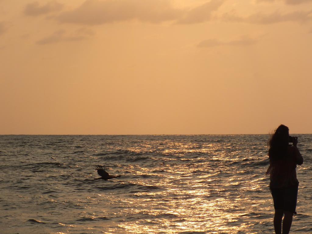 Thoms Beach Homestay Alappuzha Buitenkant foto